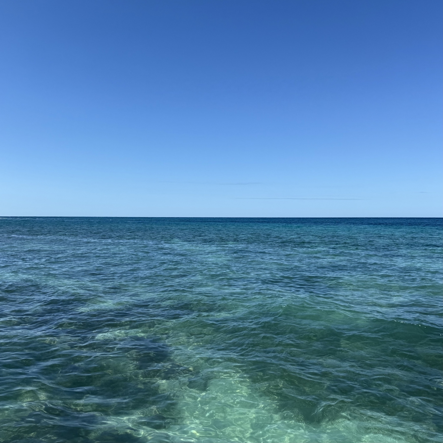 A clear, calm ocean stretches to the horizon under a bright blue sky.